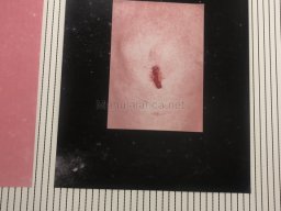 Exposición de Mutantes 2022